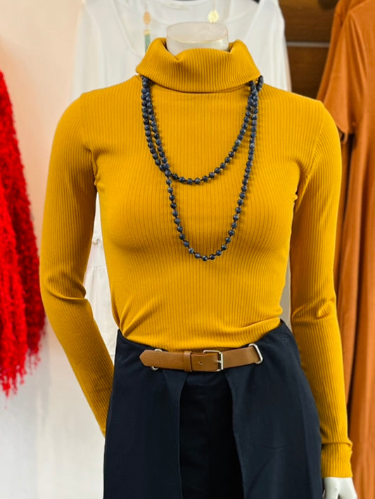 Turtle Neck Blouse